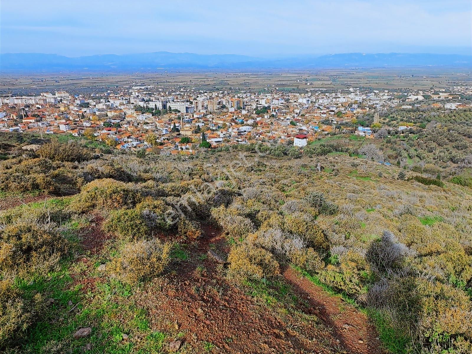 Kınık'ta 2.475 M2 Tek Tapulu Satılık Zeytinlik - Görsel 13