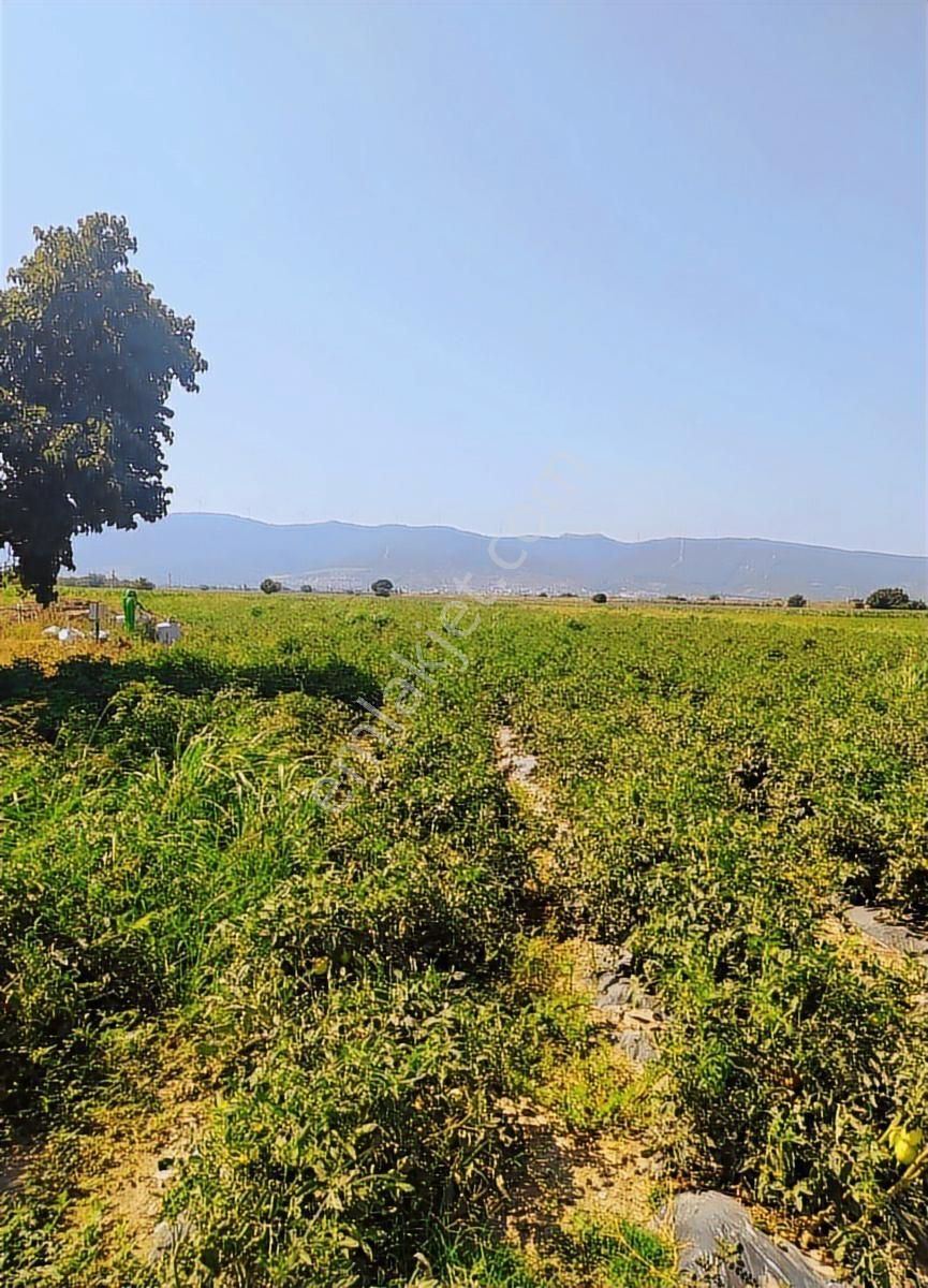 Tek Tapulu 9.390 M2 Satılık Tarla