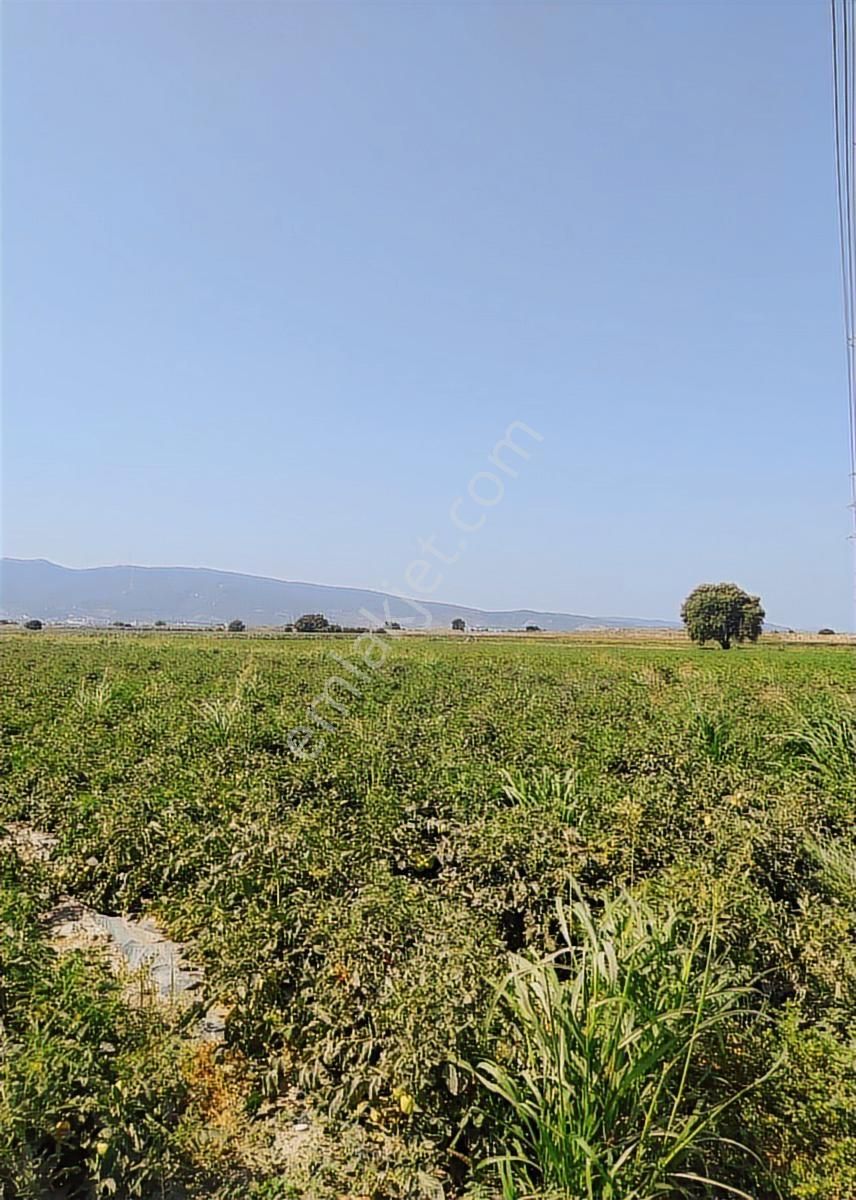 Tek Tapulu 9.390 M2 Satılık Tarla - Görsel 3