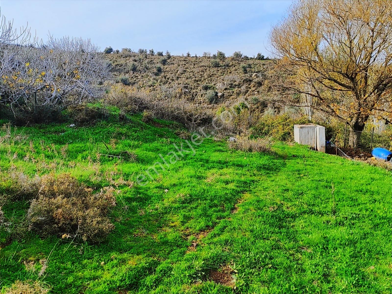 Kınık'ta 1.932 M2 Tek Tapulu Satılık Tarla - Görsel 4