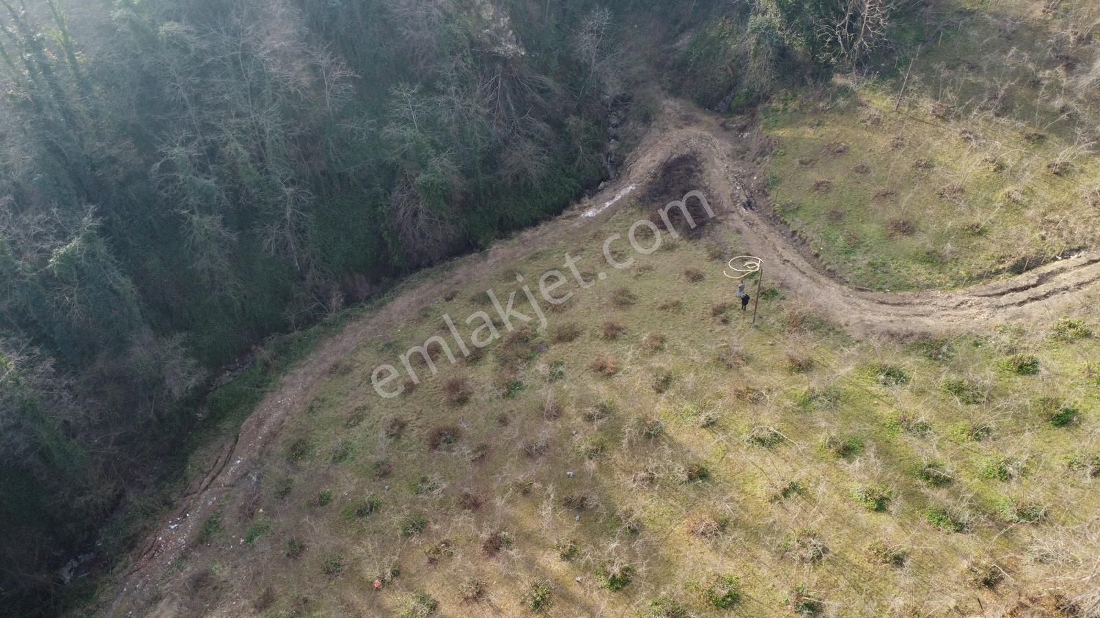 Trabzon'da Satılık Arazi - Görsel 7