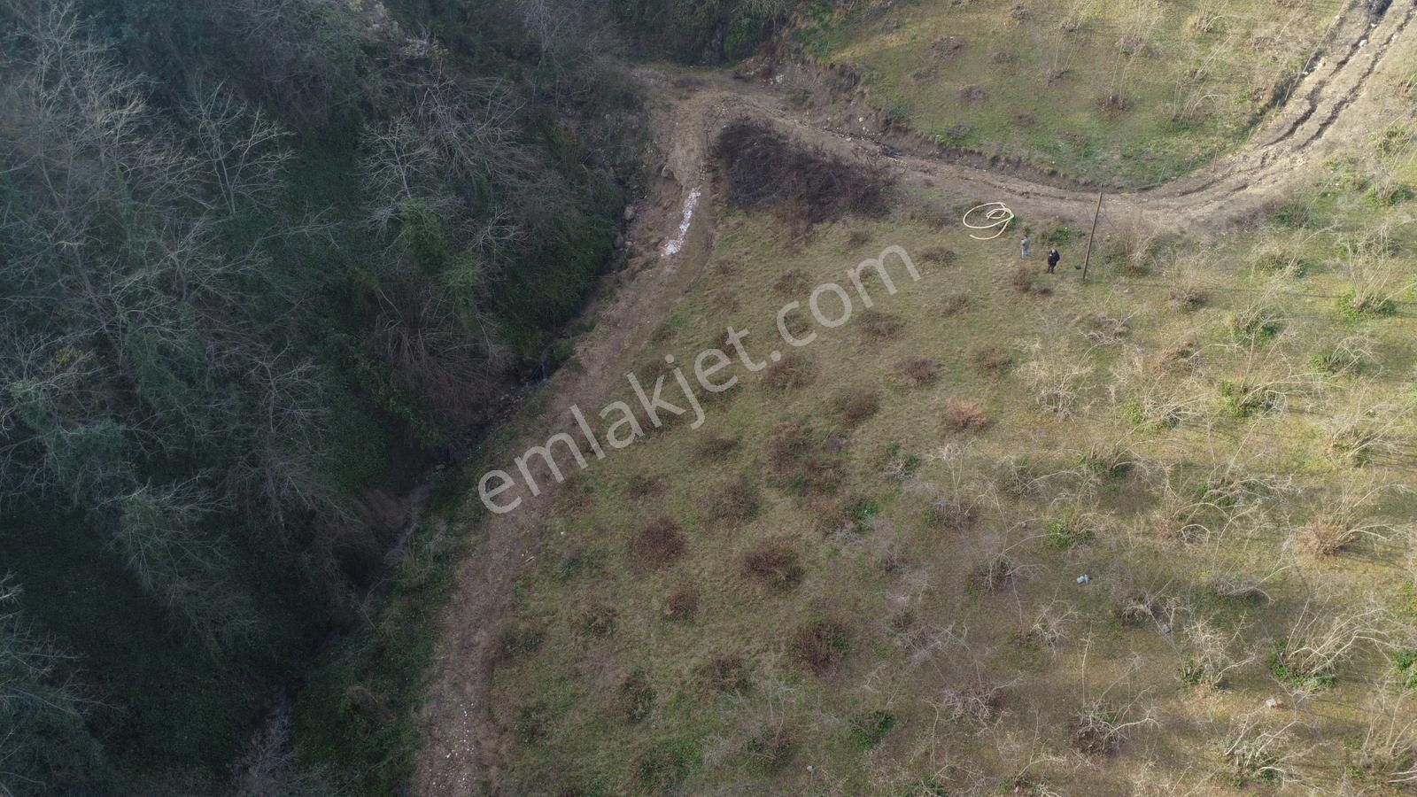 Trabzon'da Satılık Arazi - Görsel 2