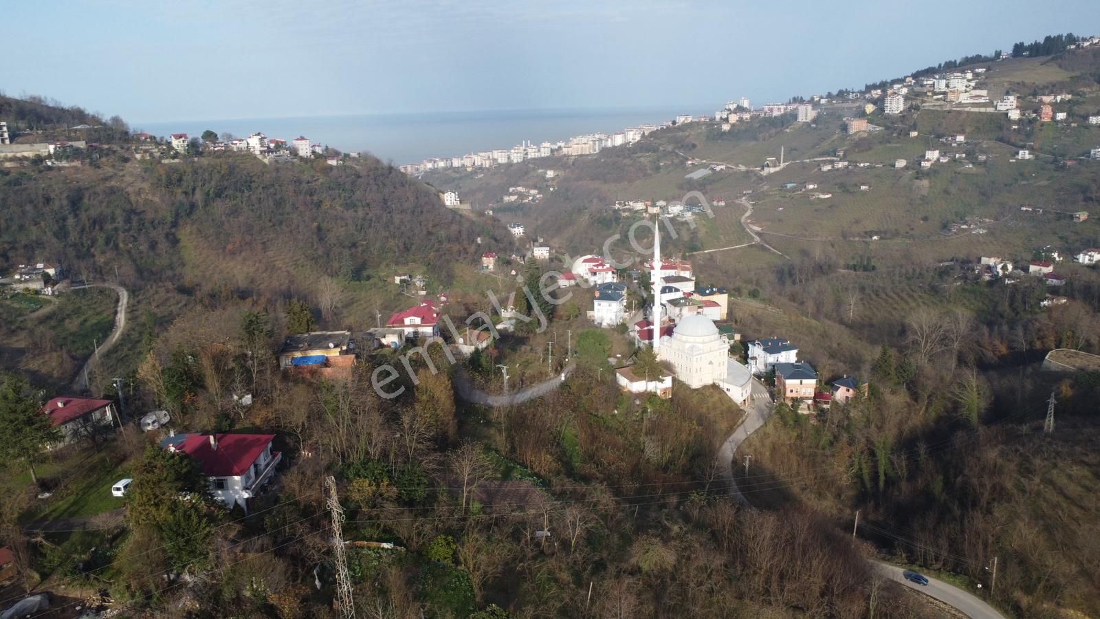 Trabzon'da Satılık Arazi - Görsel 15