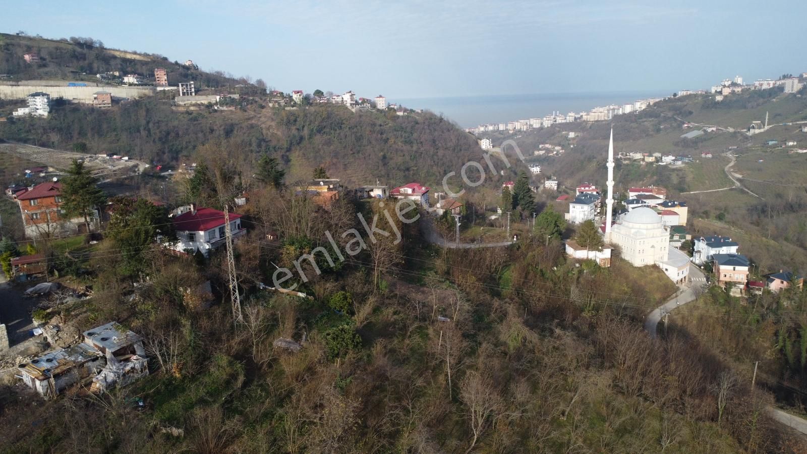 Trabzon'da Satılık Arazi - Görsel 3