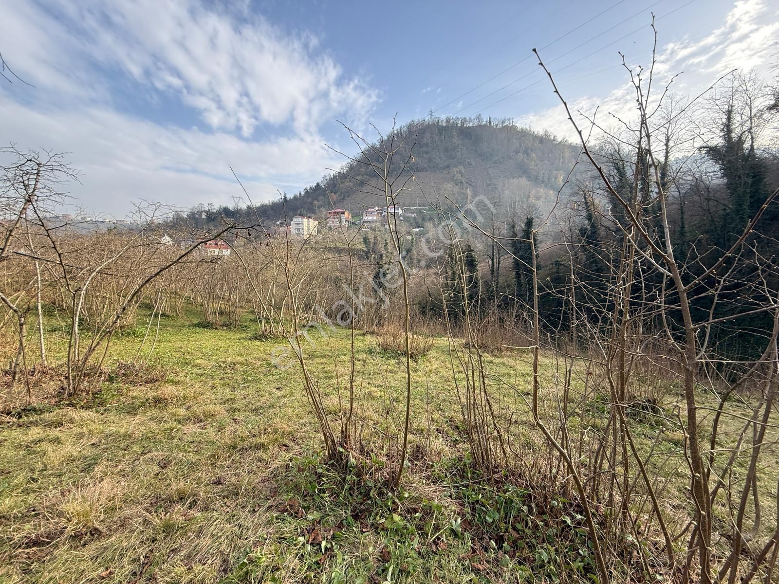 Trabzon'da Satılık Arazi - Görsel 12