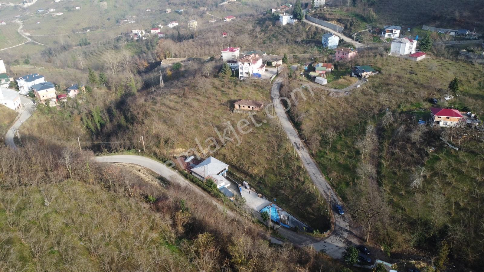 Trabzon'da Satılık Arazi - Görsel 8