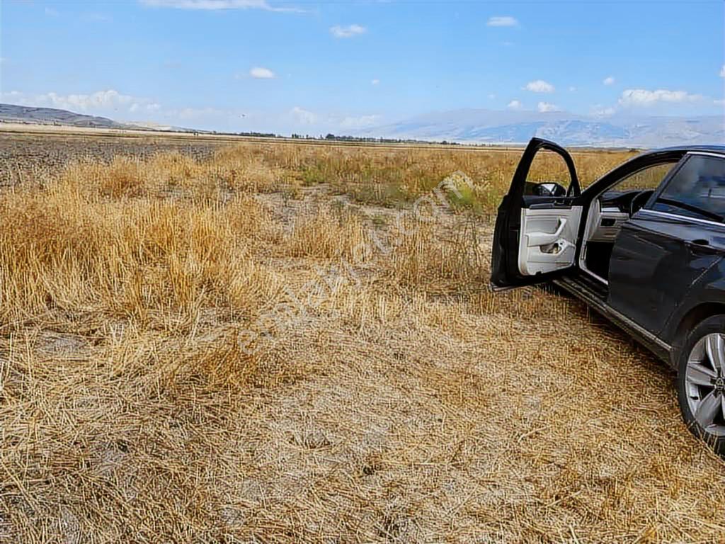 Afyonkarahisar Çay Kılıçyakada Satılık 18.100 M2 Bademlik - Görsel 2