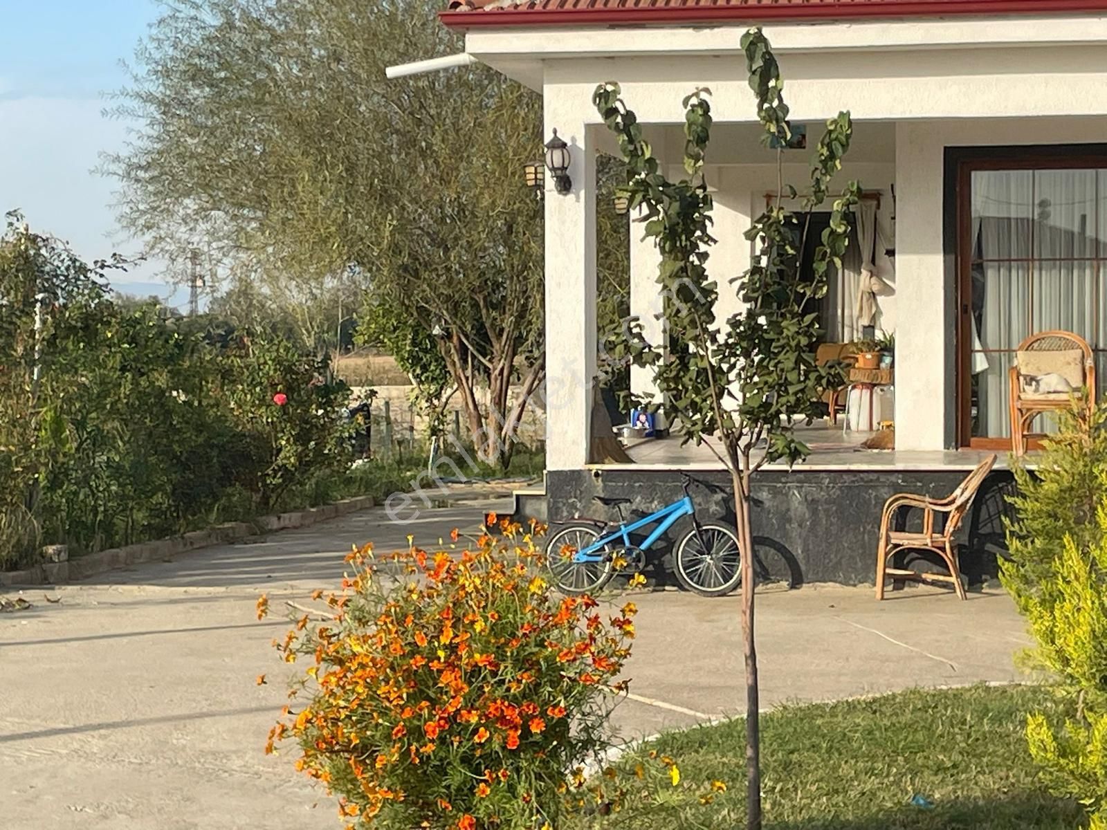 🌿 Aydın Nazilli Sümer Mahallesi 14 Dönüm Tarım + Hayvancılık Entegre Çiftliği