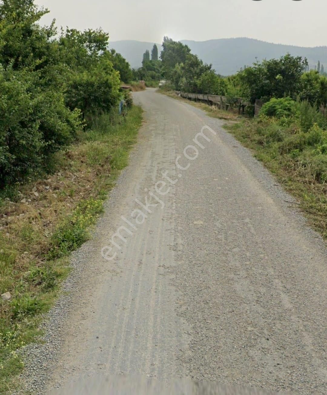 Bursa / İznik / Dereköy / 17 Dönüm Şeftali Nektarin Bahçesi - Görsel 4
