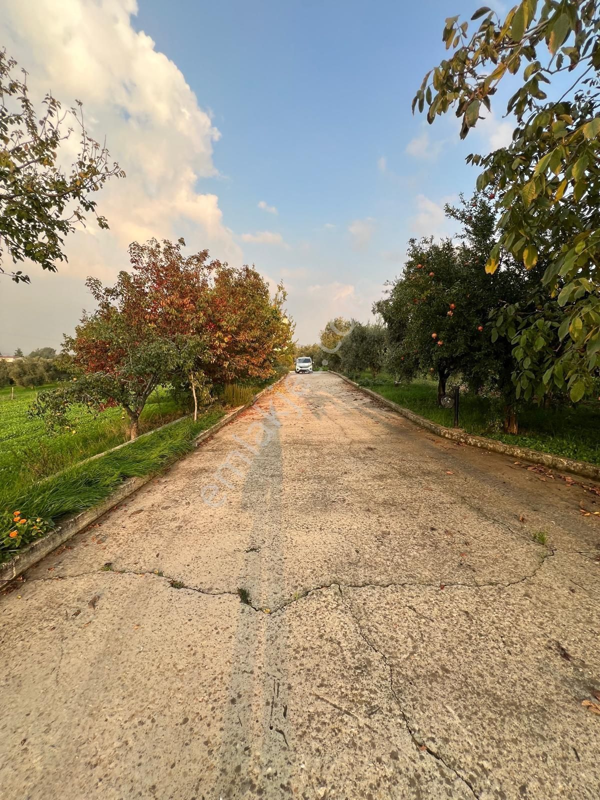 Torbalı Demirci Köyünde 11 Dönüm Zeytinlik Ve Ev - Görsel 21