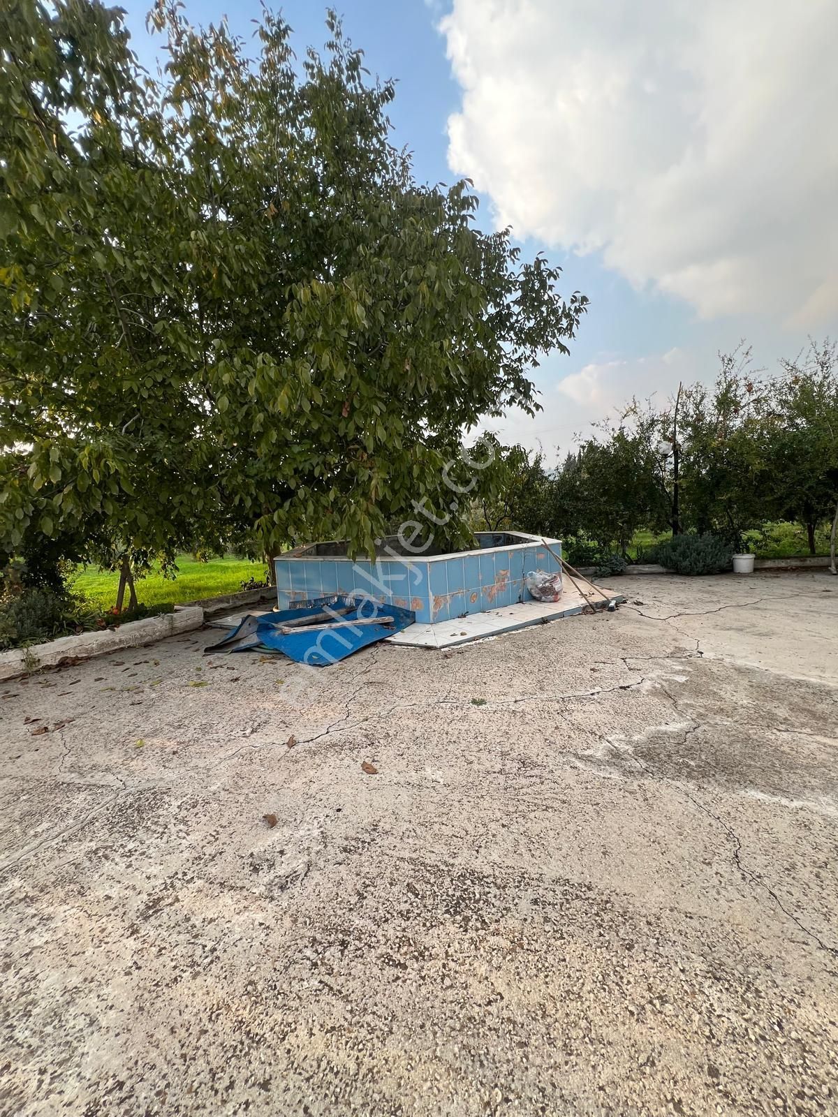 Torbalı Demirci Köyünde 11 Dönüm Zeytinlik Ve Ev - Görsel 5