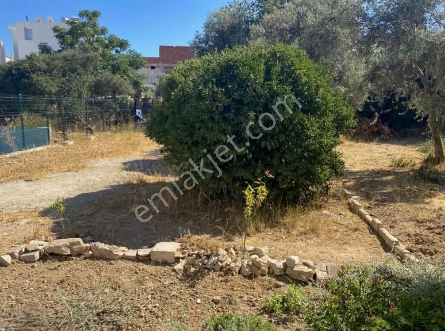 Bodrum Merkez De Satılık 1+1 Daire - Görsel 2