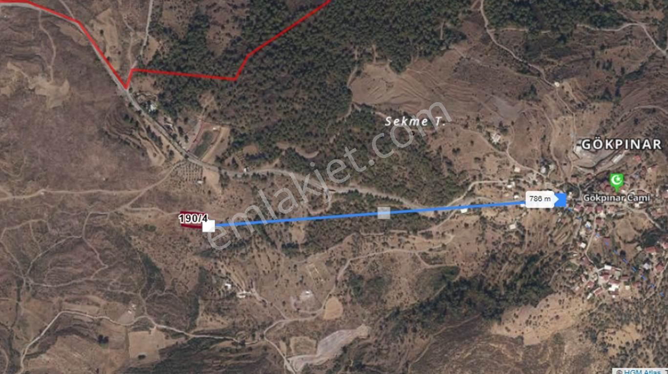 Bodrum Gökpınar Satılık Zeytinlik