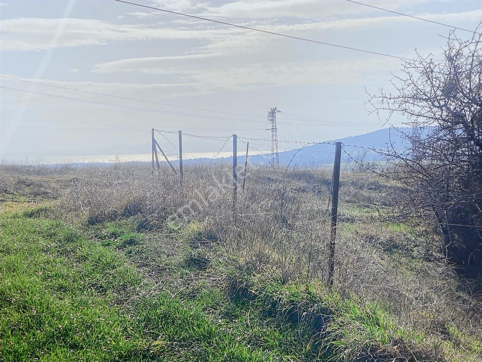 Kavakköyde İki Deniz Manzalı Uygun Fiyata Tarla - Görsel 3