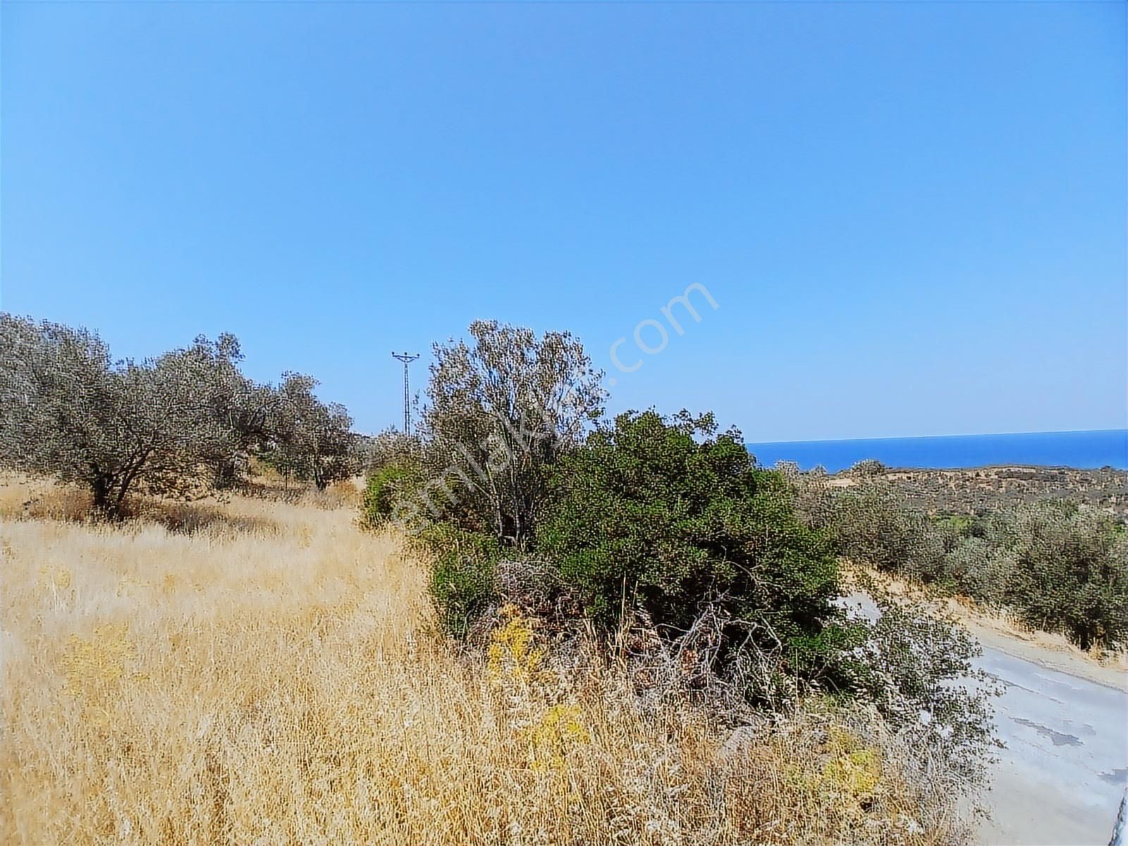İmara Yakın Asfalta Cephe Deniz Manzaralı 5100 Metrekare - Görsel 20