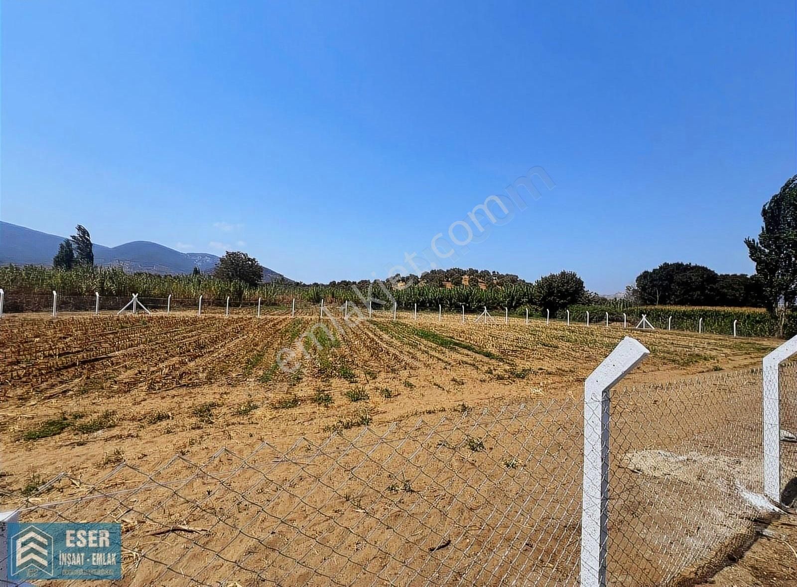 Milas Bafada Ana Yola Sıfır Acil Satlık 2292 M2 Tarla - Görsel 6