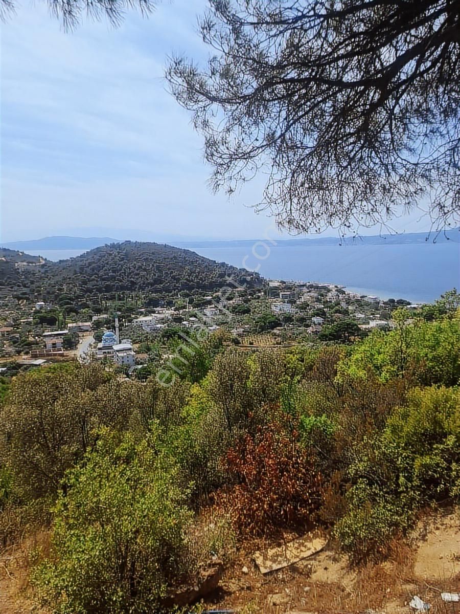 Yalova Armutlu Fıstıklı'da Satılık 2589m2 Arsa Deniz Manzaralı - Görsel 5