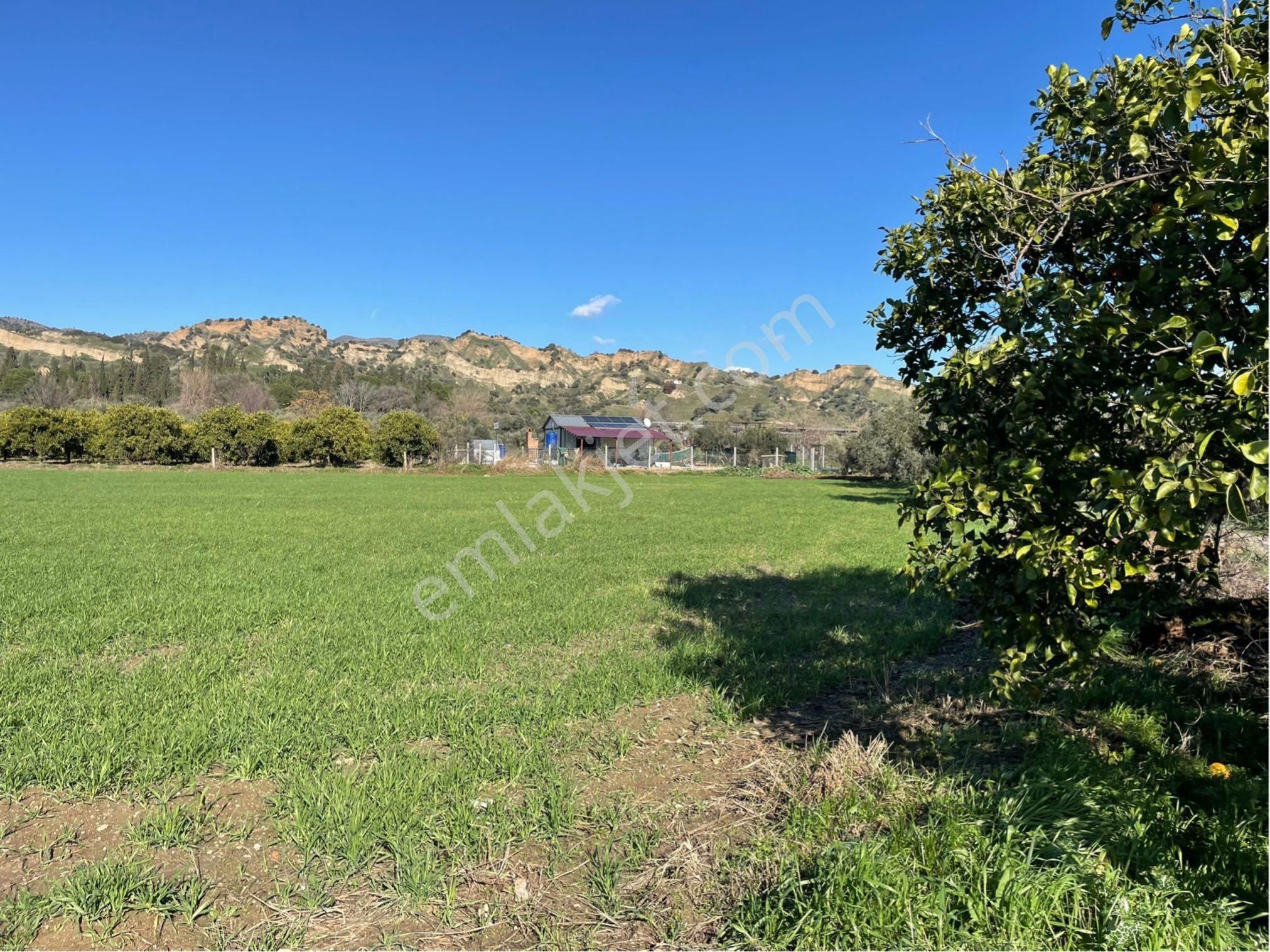 Sultan Hisar Atça Mahallesinde Satılık 3.900m2 Yerimiz Satılıktır - Görsel 5