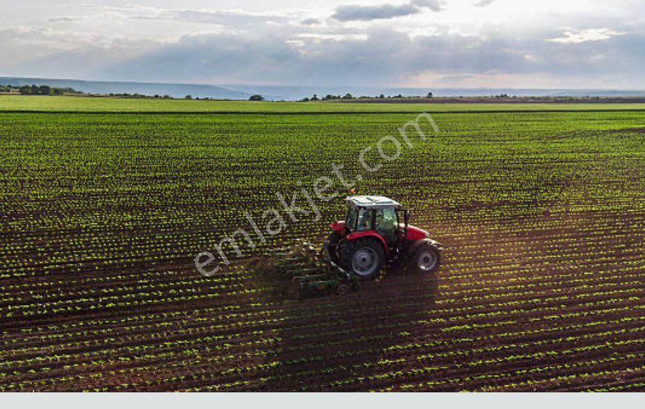 Bergama-aşağıkırıklar Mahallesinde,satılık Tarla - Görsel 2