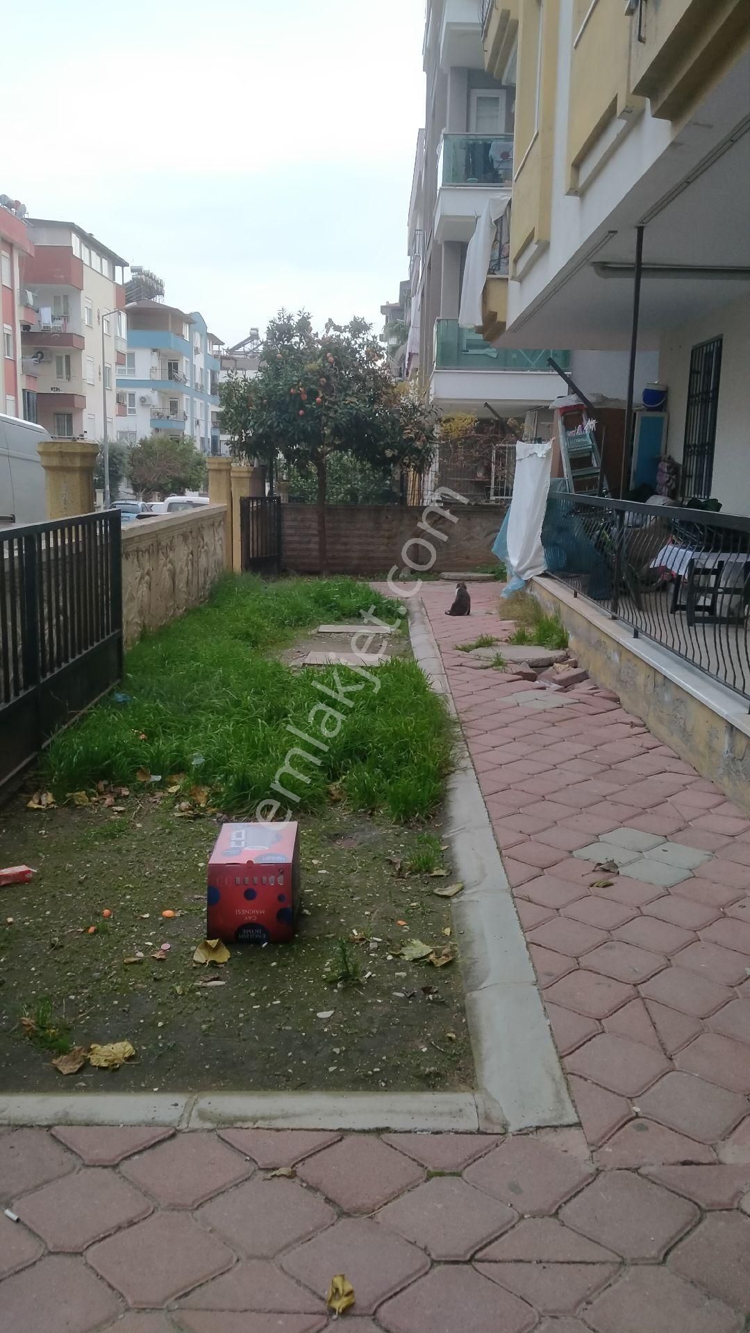 3+1 Geniş Ferah Daire Diş Hastanesi'ne 3 00 - Görsel 3