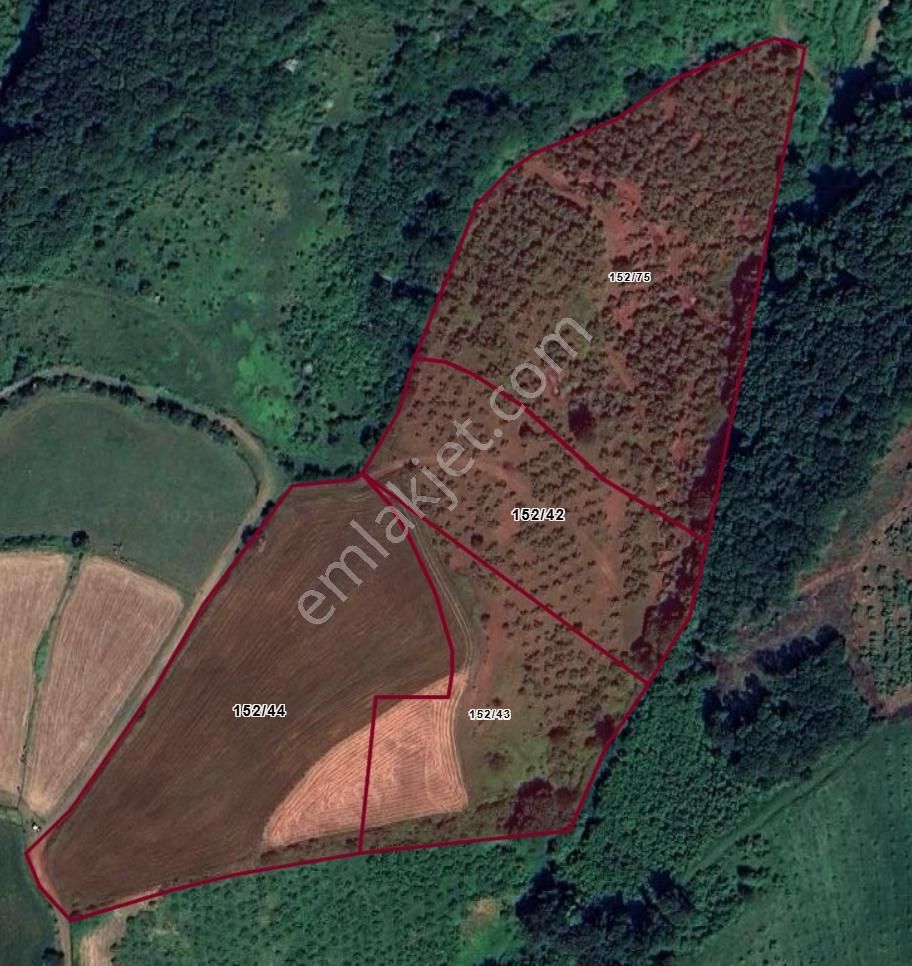 Ali Şeker'den Kurugökçede Deniz Manzaralı Satılık Fındık Bahçesi