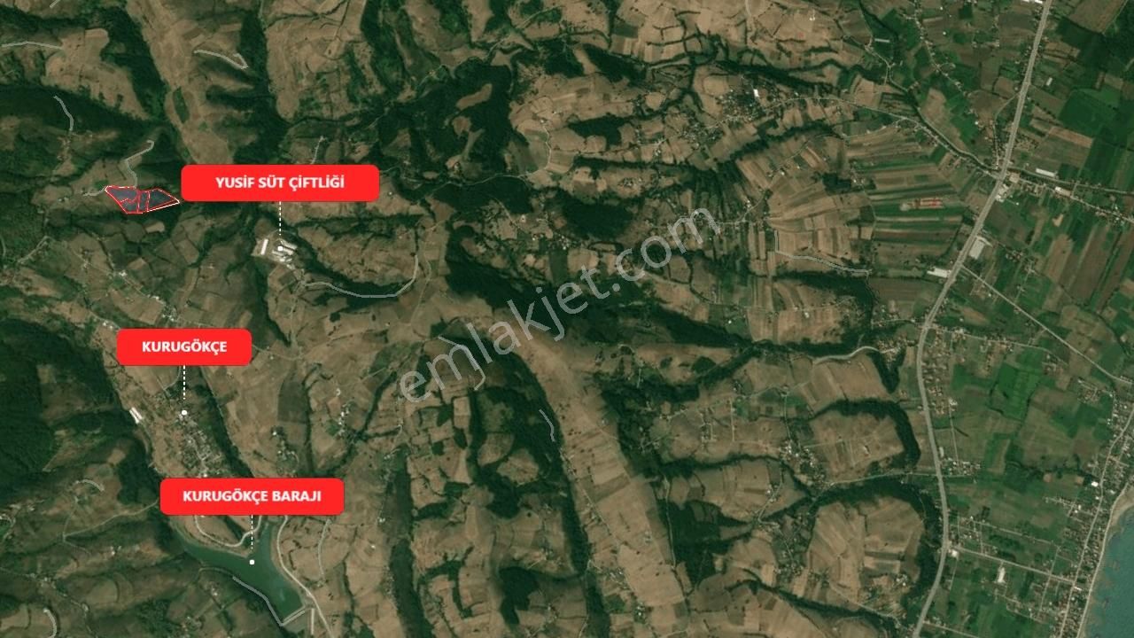 Ali Şeker'den Kurugökçede Deniz Manzaralı Satılık Fındık Bahçesi - Görsel 2