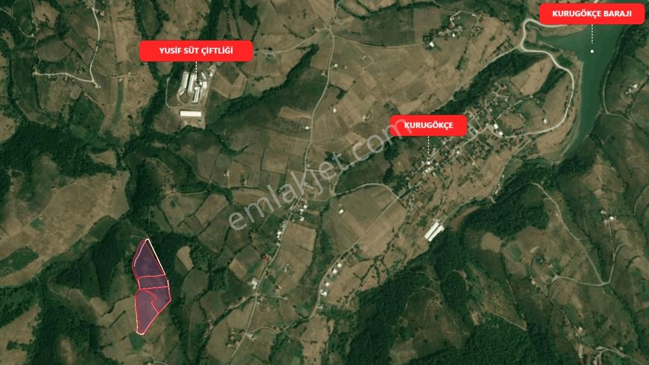Ali Şeker'den Kurugökçede Deniz Manzaralı Satılık Fındık Bahçesi - Görsel 18