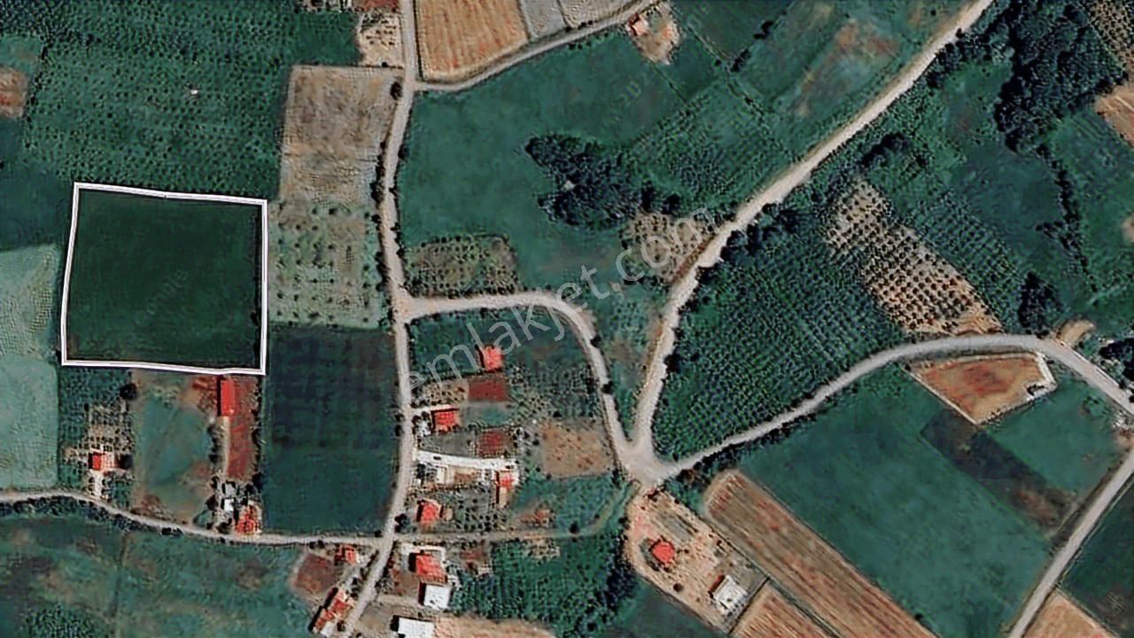 Ali Şeker'den Atakum Kurugökçe'de Satılık 11 Dönüm Tarla - Görsel 2