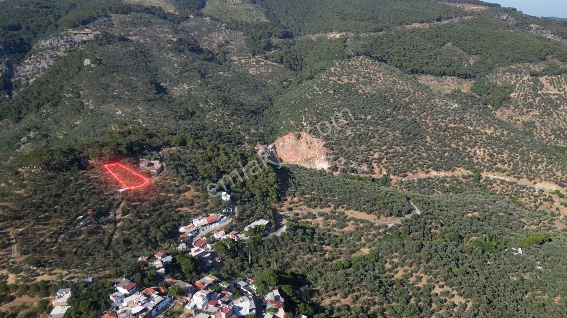 Doyran Köyü’nde %40 Köy İmarında Satılık Zeytinlik