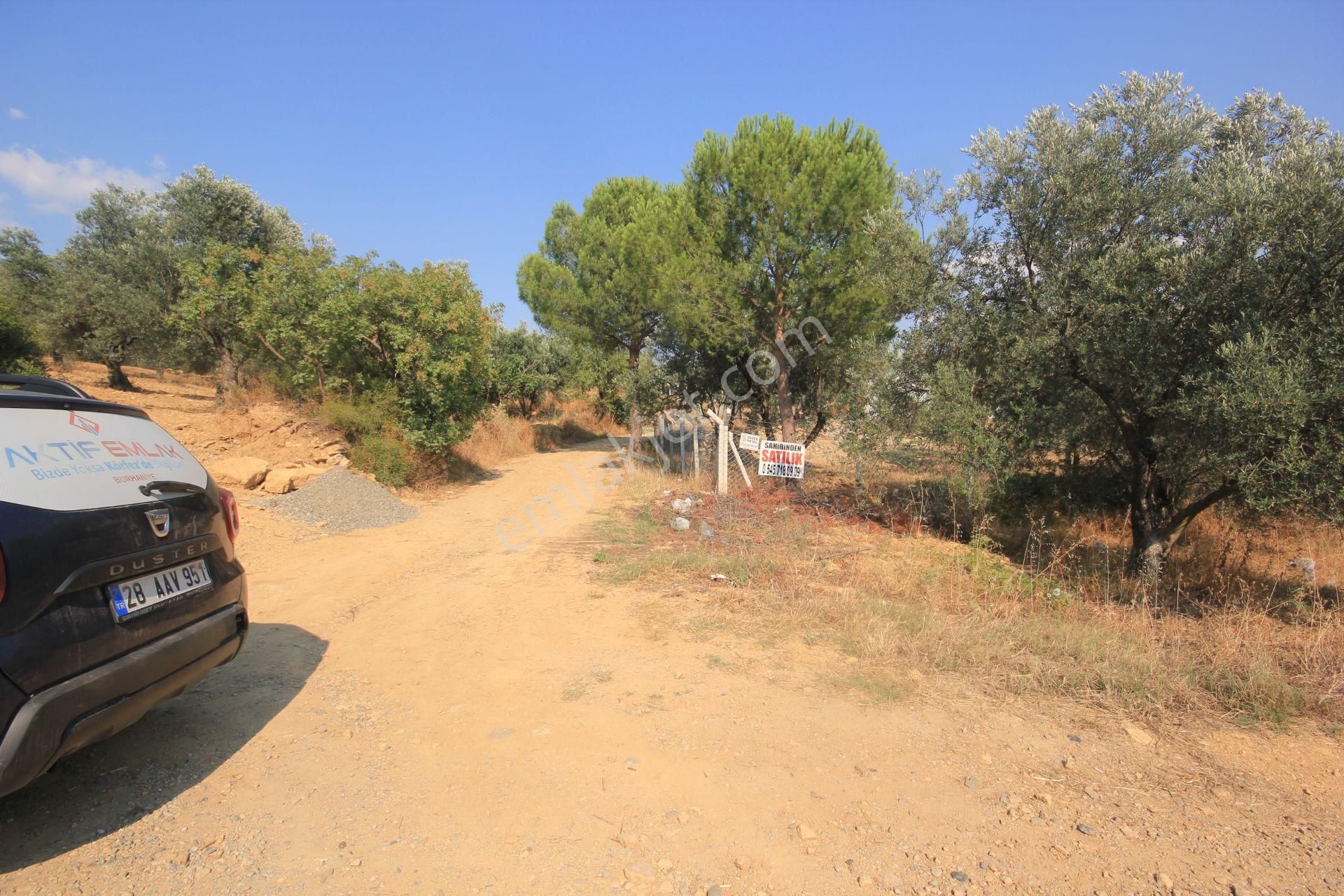 🔴 Aktif'ten Burhaniye Şarköy'de İçerisinde Yapı Bulunan Satılık 3 Dönüm Zeytinlik - Görsel 29