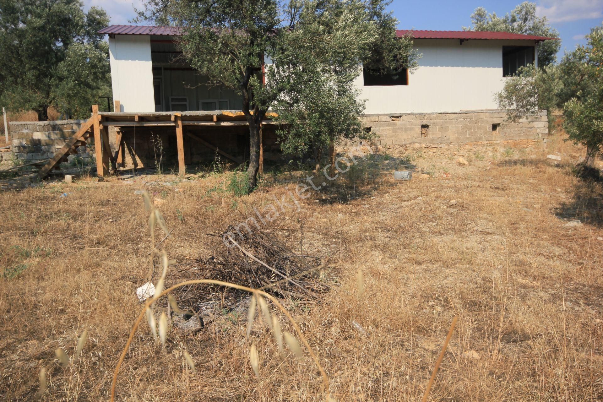 🔴 Aktif'ten Burhaniye Şarköy'de İçerisinde Yapı Bulunan Satılık 3 Dönüm Zeytinlik - Görsel 26