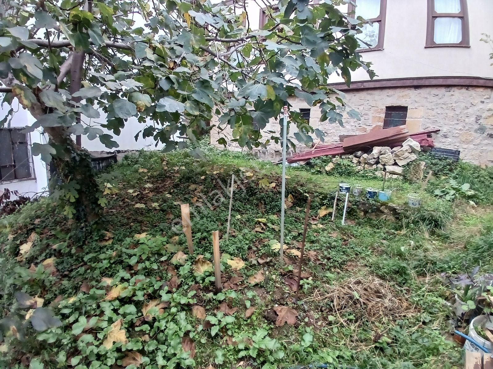 Eşsiz Tarihi Bölgede Kiralık Bahçeli-müstakil Ticari Bina - Görsel 4