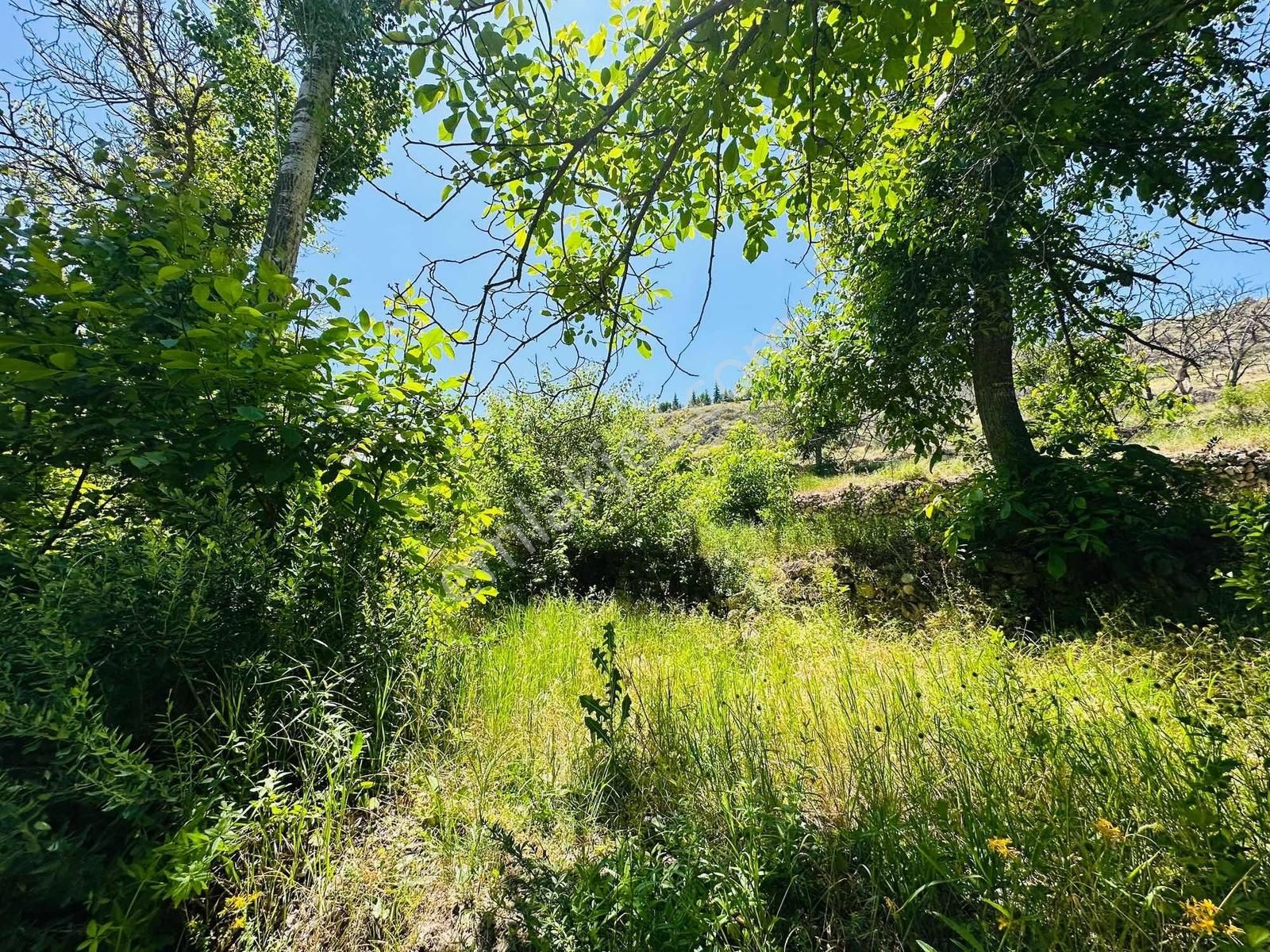 Koramaz Vadisinde 678m2 Yola Sıfır Satılık Bahçe - Görsel 11