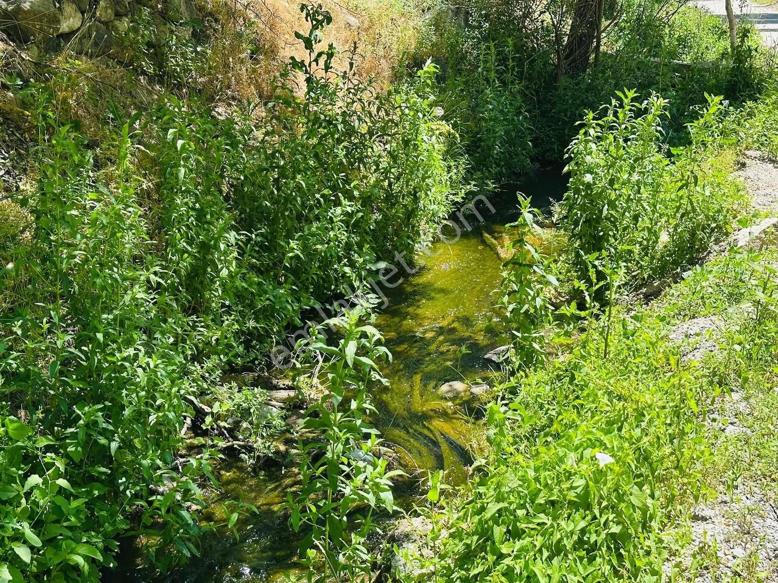 Koramaz Vadisinde 678m2 Yola Sıfır Satılık Bahçe - Görsel 2