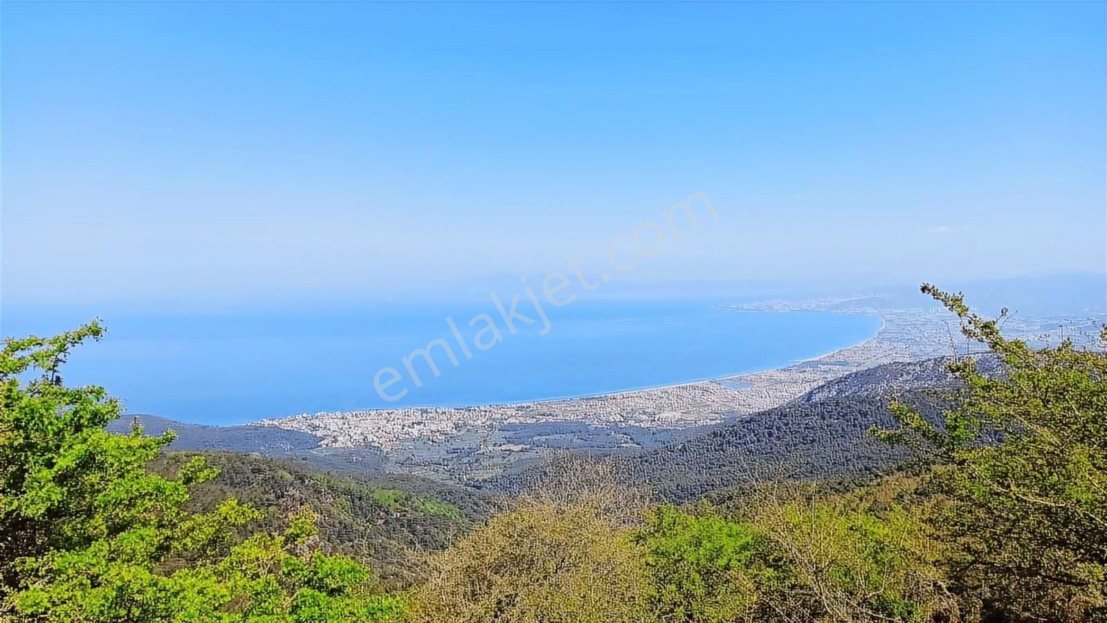 Pascha Emlak'tan Güzelçamlı'da Satılık 2+1 Ve 1+1 Daireler - Görsel 16