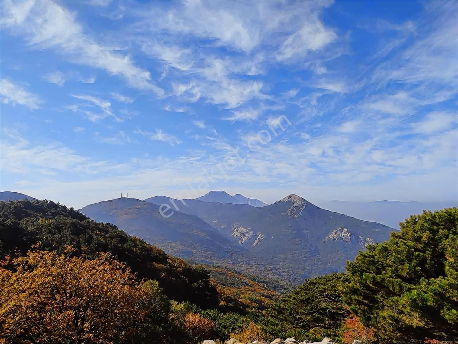 Pascha Emlak'tan Güzelçamlı'da Satılık 2+1 Ve 1+1 Daireler - Görsel 40