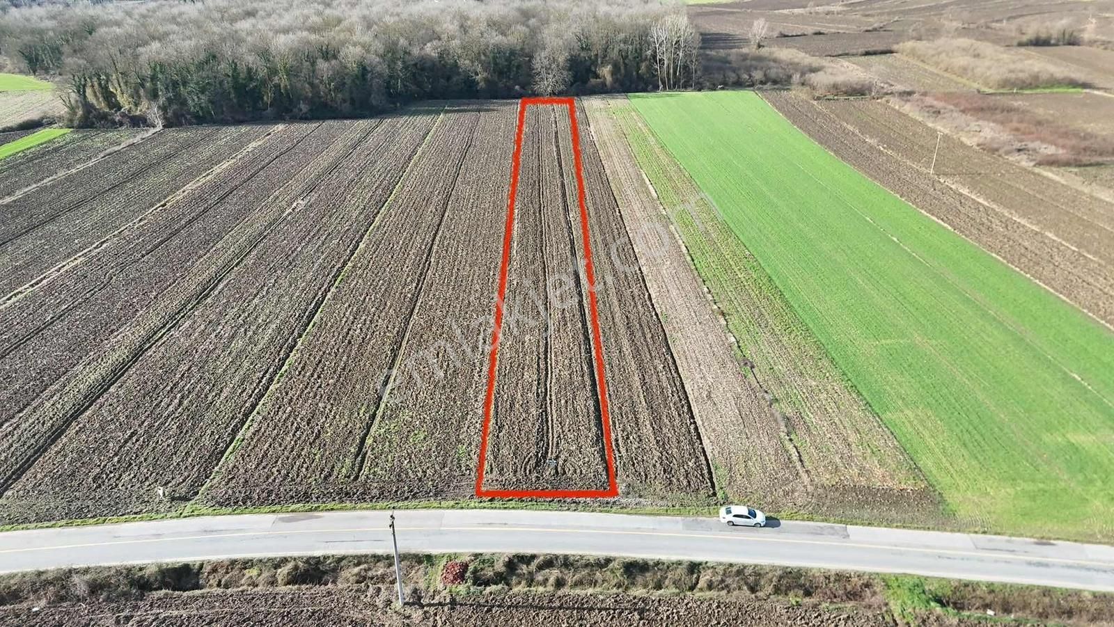 Yön Group'tan Hendek Sofular'da Satılık Tarla