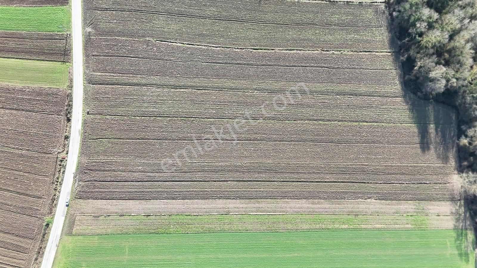 Yön Group'tan Hendek Sofular'da Satılık Tarla - Görsel 8