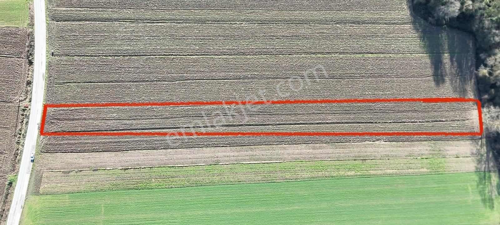 Yön Group'tan Hendek Sofular'da Satılık Tarla - Görsel 3