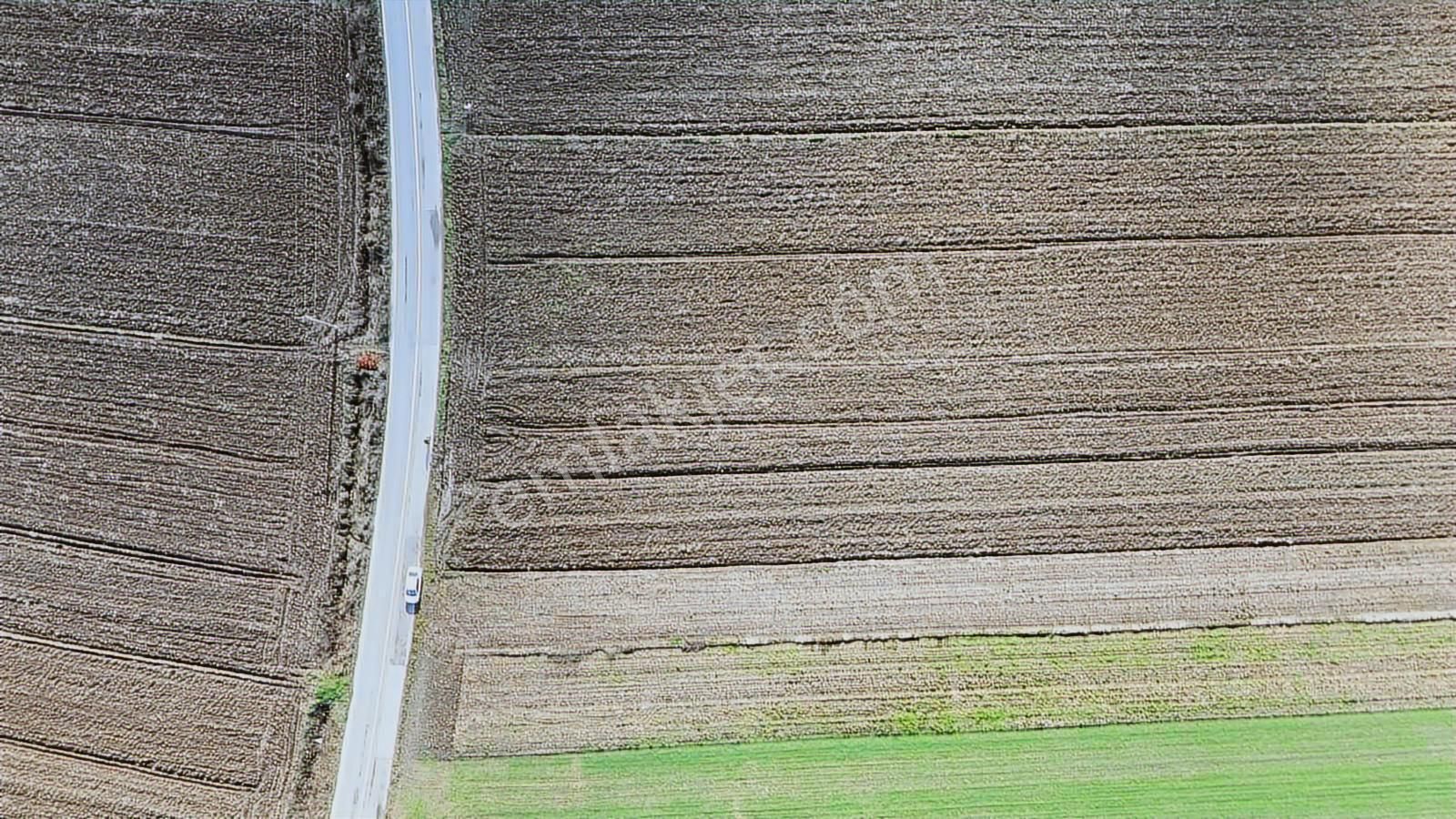 Yön Group'tan Hendek Sofular'da Satılık Tarla - Görsel 5