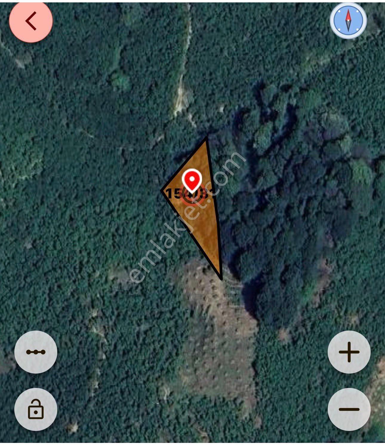 • Sakarya Kocaali Koğuk Pelit’te Yatırımlık 951 M² Fındık Ağaçlı Bahçe