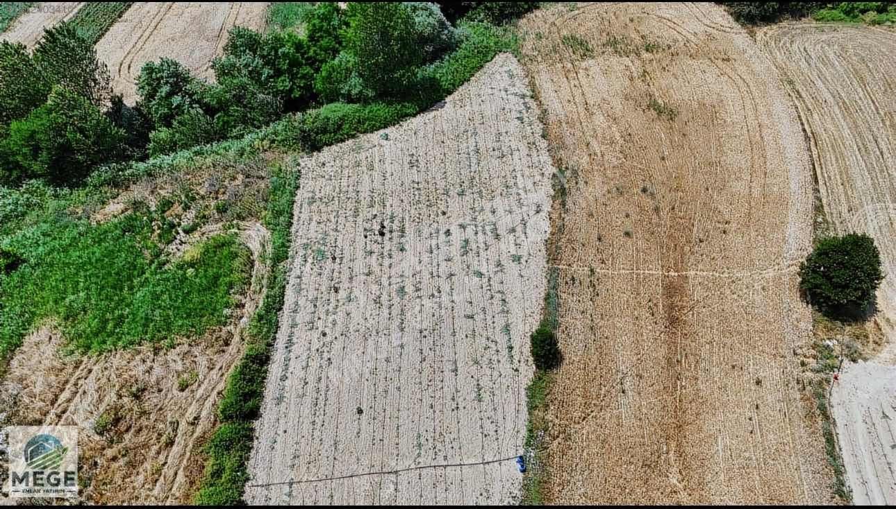 Megeden Bayramdere De Satılık 1 Dönüm Meyve Bahçesi
