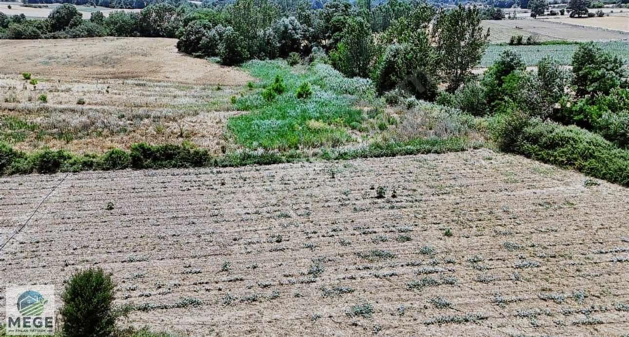Megeden Bayramdere De Satılık 1 Dönüm Meyve Bahçesi - Görsel 3