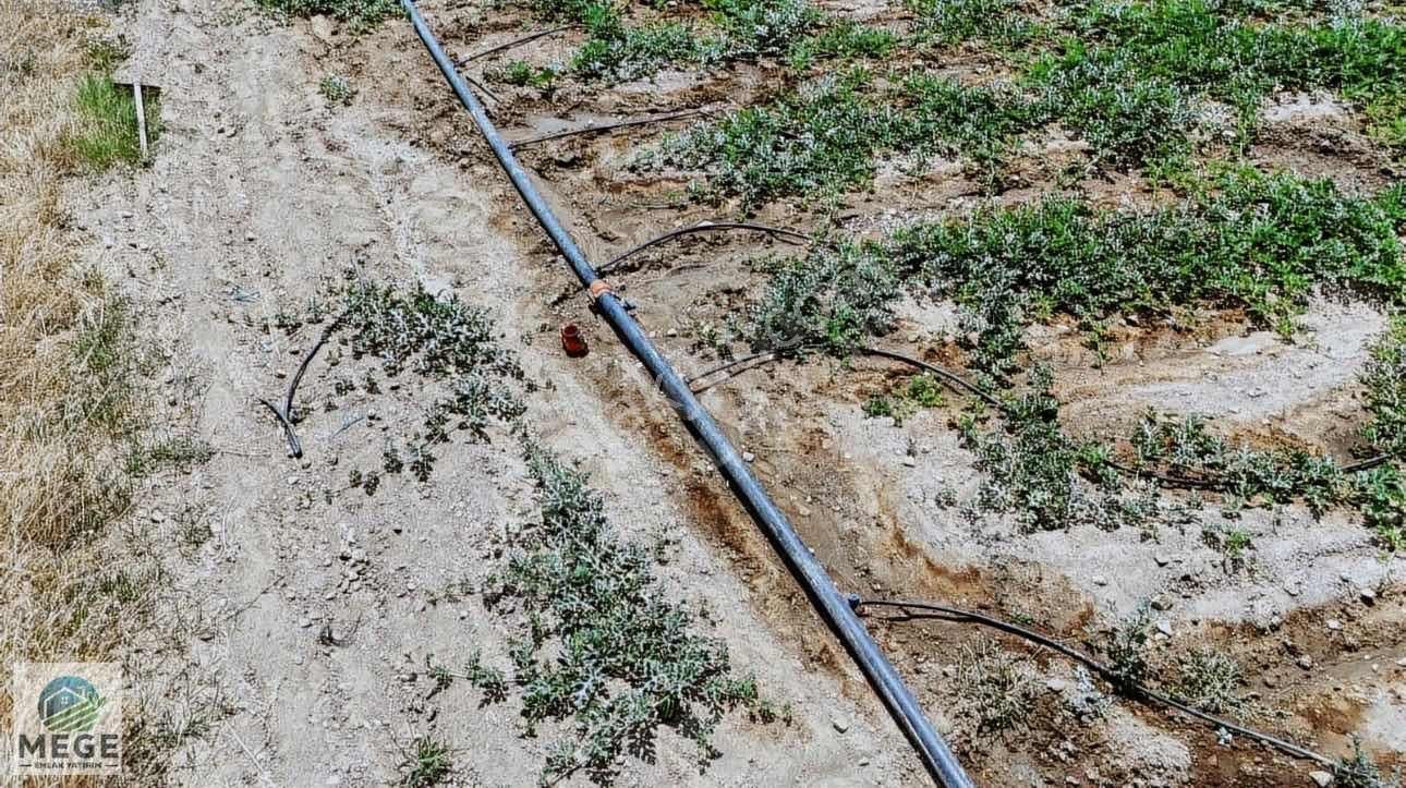 Megeden Bayramdere De Satılık 1 Dönüm Meyve Bahçesi - Görsel 8