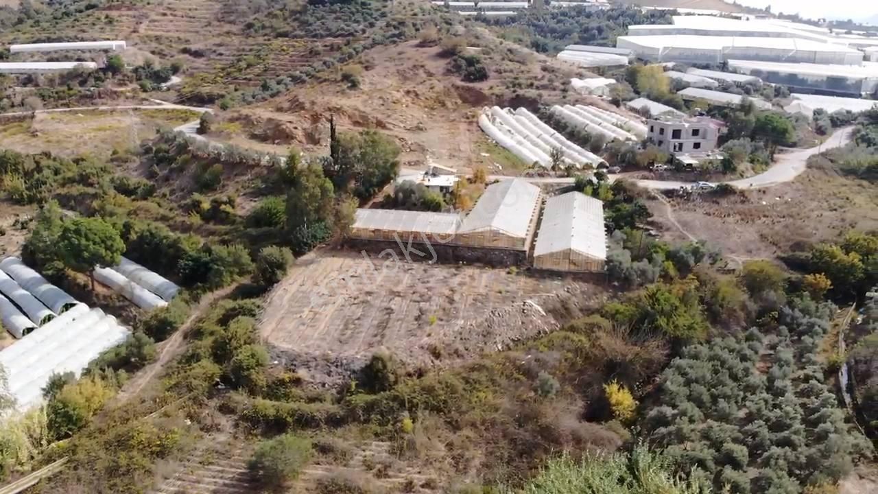 Hasdere Mahallesinde15.529 Mt2 Yola Sıfır Tarla - Görsel 19