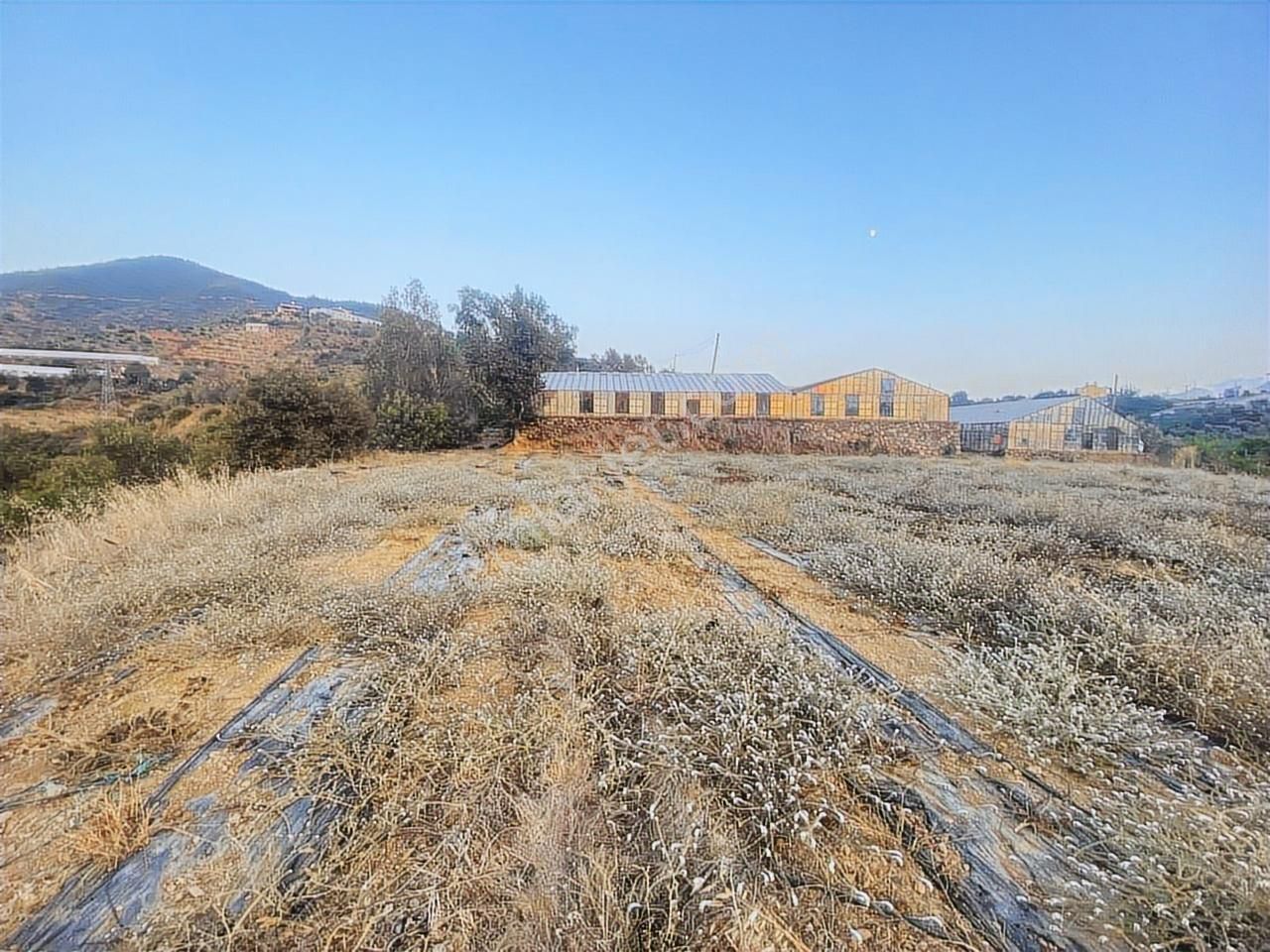 Hasdere Mahallesinde15.529 Mt2 Yola Sıfır Tarla - Görsel 10