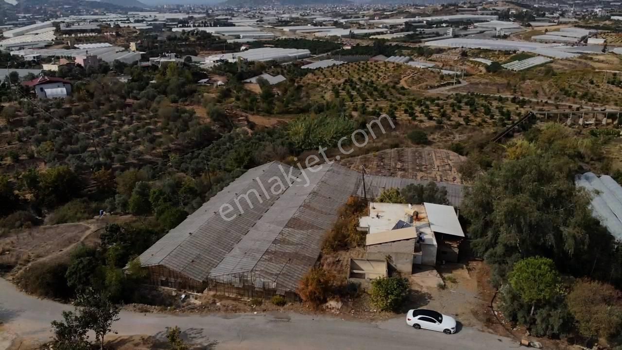 Hasdere Mahallesinde15.529 Mt2 Yola Sıfır Tarla - Görsel 28