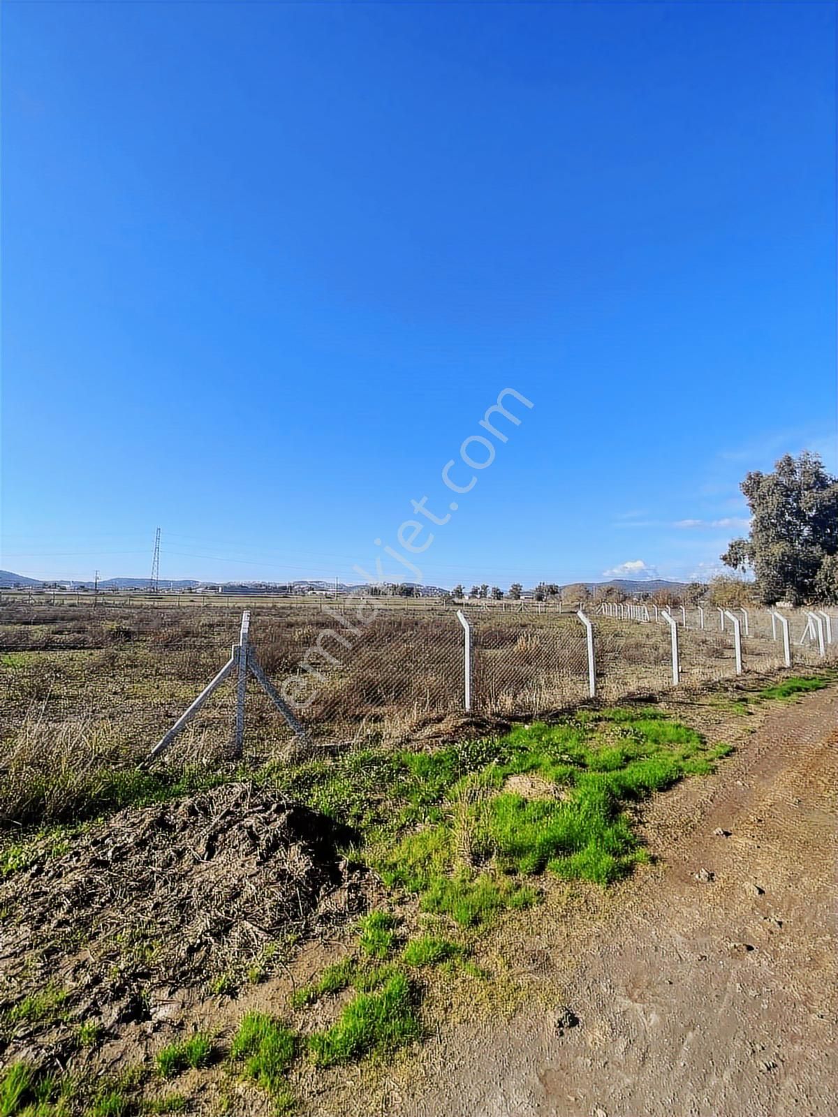 Milas Dörttepe Satılık Kooperatif Hissesi - Görsel 12