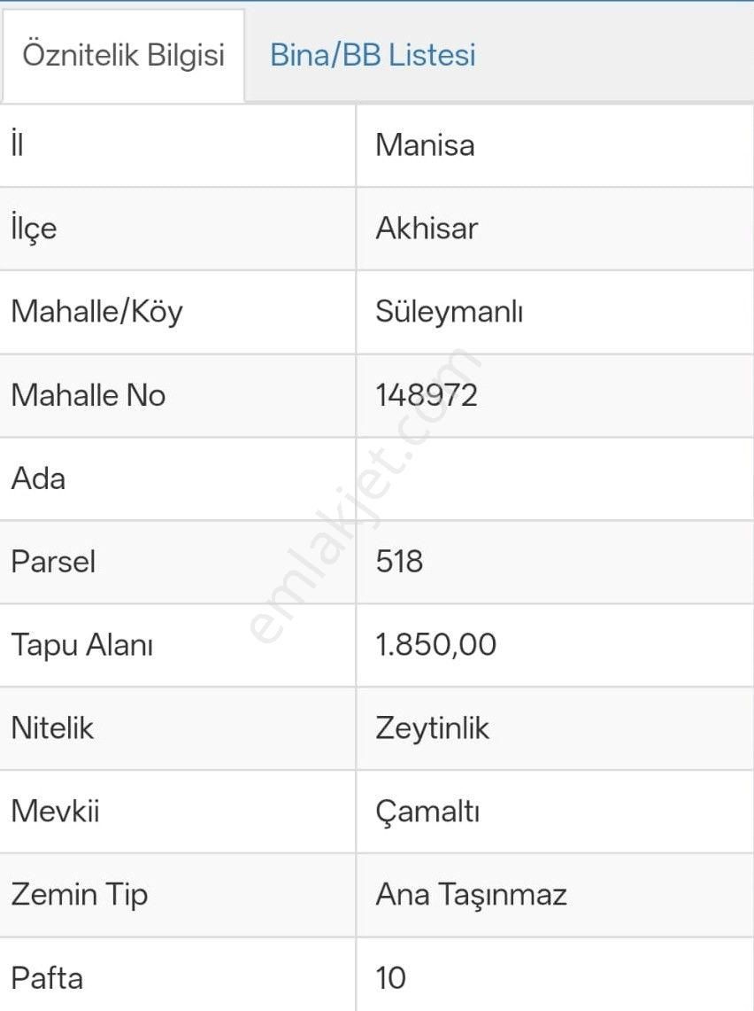 Manisa Akhisar Süleymanlı Mahallesi 1850m2 Satılık Zeytinlik