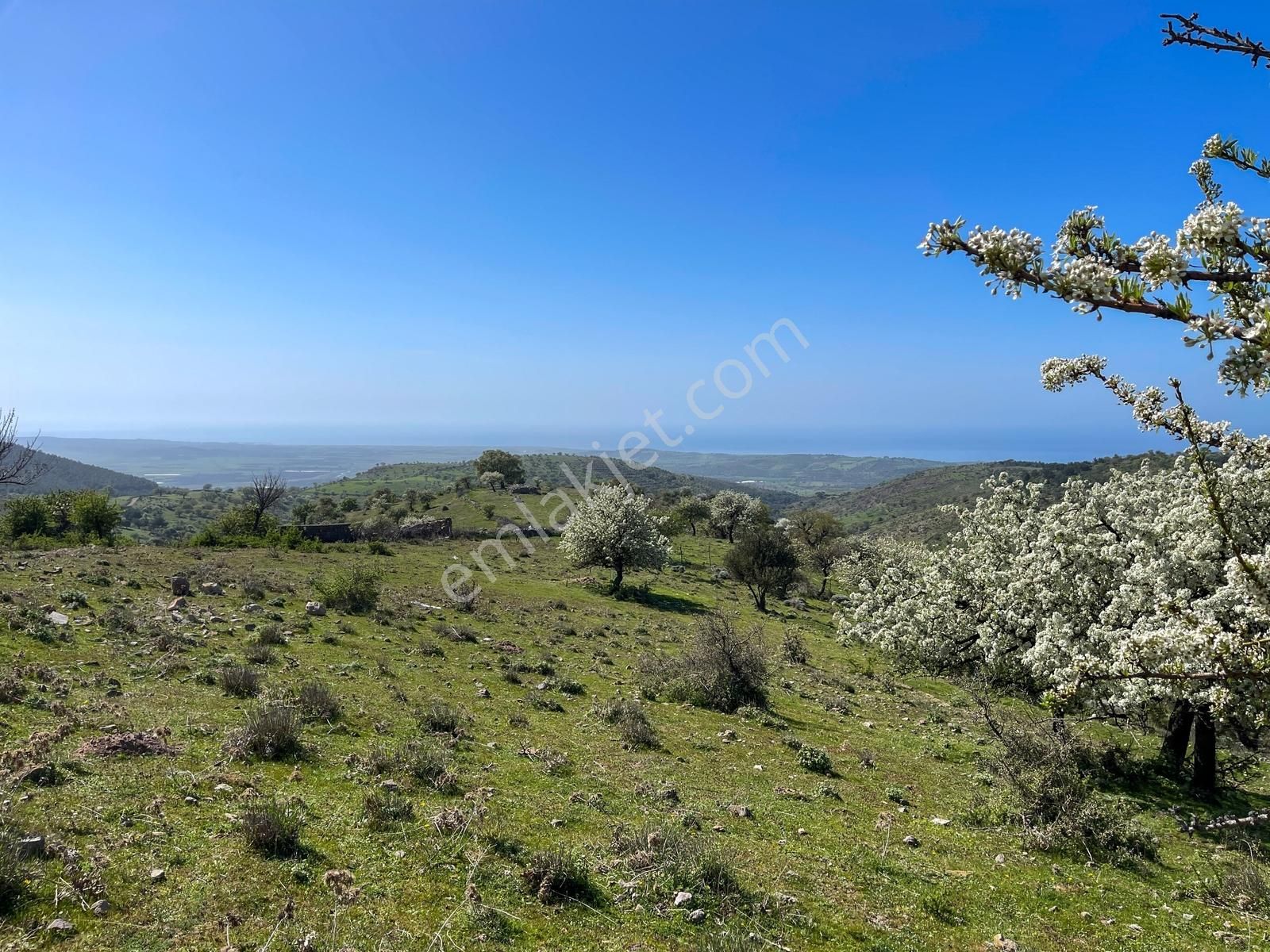 Ayvacık'ta Panoramik Ege Manzaralı Köyiçi İmara Bitişik 2.983 M² - Görsel 17